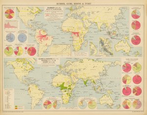 Rubber, Gums, Resins and Ivory by English School