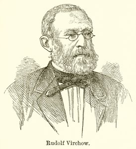 Rudolf Virchow by English School