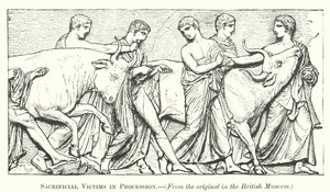 Sacrificial Victims in Procession
