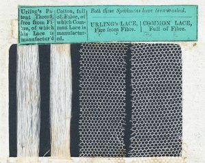 Samples of Urlings Lace by English School