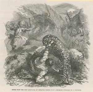 Scene from the new spectacle at Astleys - Morok (Van Amburgh) attacked by a panther by English School