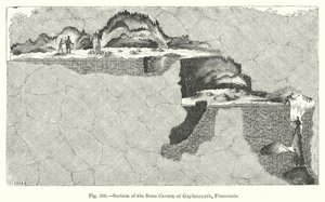Section of the bone cavern of Gaylenreuth, Franconia by English School
