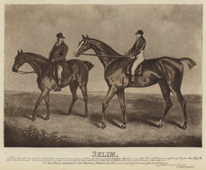 Selim by English School
