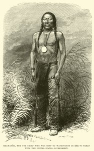 Shawanoh, the Ute Chief who was sent to Washington in 1863 to treat with the United States Government by English School
