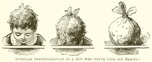 Singular Transformation in a Boy Who Never Used His Brains! by English School