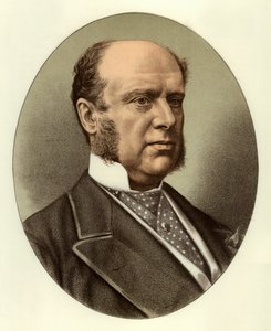 Sir Hercules Robinson by English School