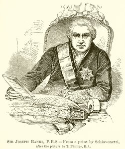 Sir Joseph Banks, P.R.S by English School