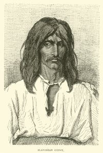 Slavonian Gypsy by English School