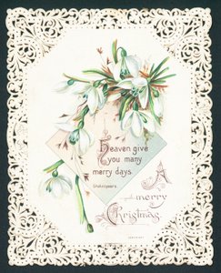 Snowdrops by English School