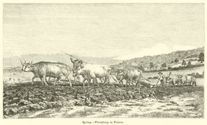 Spring, Ploughing in France by English School