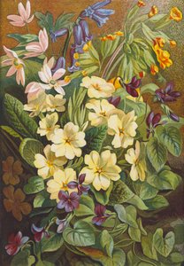 Spring Flowers by English School