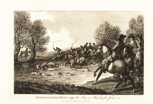Stag hunters and hounds hunting a calf deer in the Epping Easter Hunt by English School
