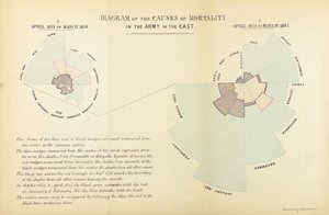 Statistical chart invented by Florence Nightingale to show the predominance of disease as a cause of mortality in the British army during the Crimean War, April 1854 to March 1855 and April 1855 to March 1856 by English School
