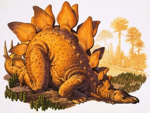 Stegosaurus