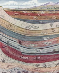 Strata of the Earth