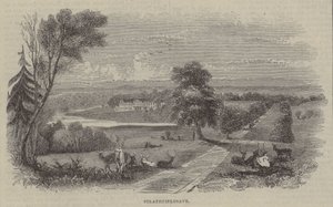 Strathfieldsaye by English School