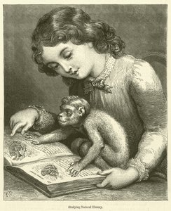 Studying Natural History