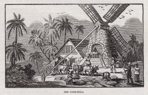 Sugar production