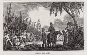 Sugar production