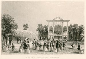 Surrey Zoological Gardens, Kennington, London: The New Orchestra by English School