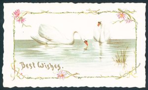Swans on Lake by English School