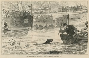 Swimming Match Between a Dog and a Man by English School