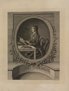 Sydney Parkinson, frontispiece from 