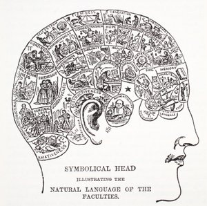 Symbolical Head Showing the Natural Language of the Faculties by English School