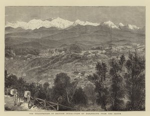 Tea Cultivation in British India, View of Darjeeling from the South by English School