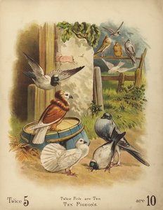 Ten Pigeons by English School