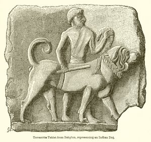 Terracotta Tablet from Babylon, Representing an Indian Dog by English School
