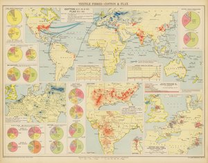 Textile Fibres, Cotton and Flax by English School