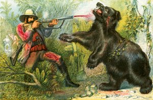The Bear - 