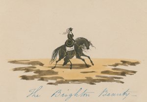 The Brighton Beauty