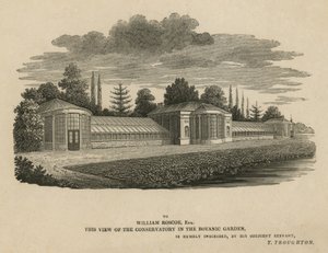 The Conservatory in the Botanic Garden, Kew, London by English School