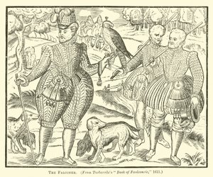 The Falconer by English School