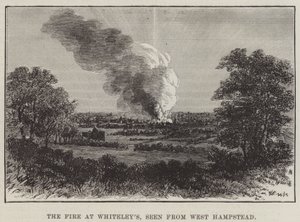 The Fire at Whiteley