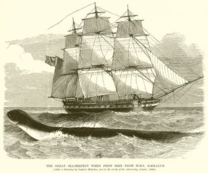 The Great Sea-Serpent when First Seen from H.M.S. Daedalus by English School