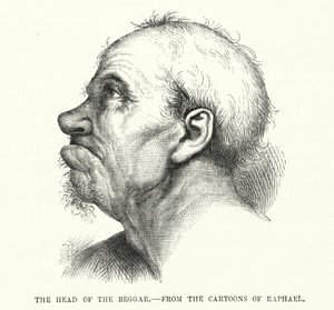 The Head of the Beggar, from the cartoons of Raphael