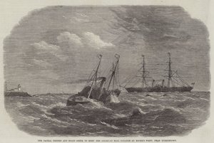 The Jackal Tender and Boats going to meet the American Mail Steamer at Roche
