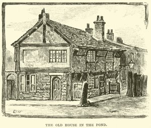 The Old House in the Pond