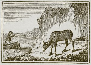 The One-Eyed Doe by English School