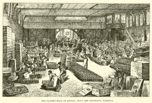 The Packing-Hall at Messrs Moet and Chandon