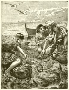 The Parable of the Net by English School