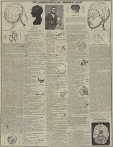 The Phrenological and Mesmeric Chart by English School