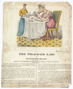 The Pig-faced Lady of Manchester Square by English School