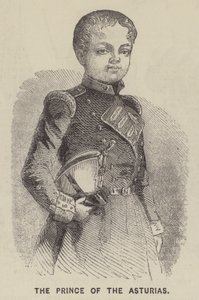 The Prince of the Asturias