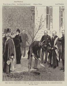 The Prince planting a Tree at the Victoria Hospital in Commemoration of his Visit by English School