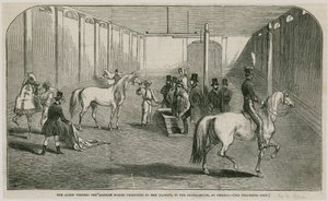 The Queen Viewing the Arabian Horses Presented to Her Majesty, in the Riding House at Pimlico by English School