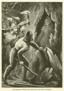 The Remains of Howel Sele Discovered in the Oak of Nannau